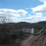 camino01-9869