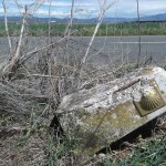 camino01-9942