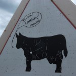 caminoDSCF0154